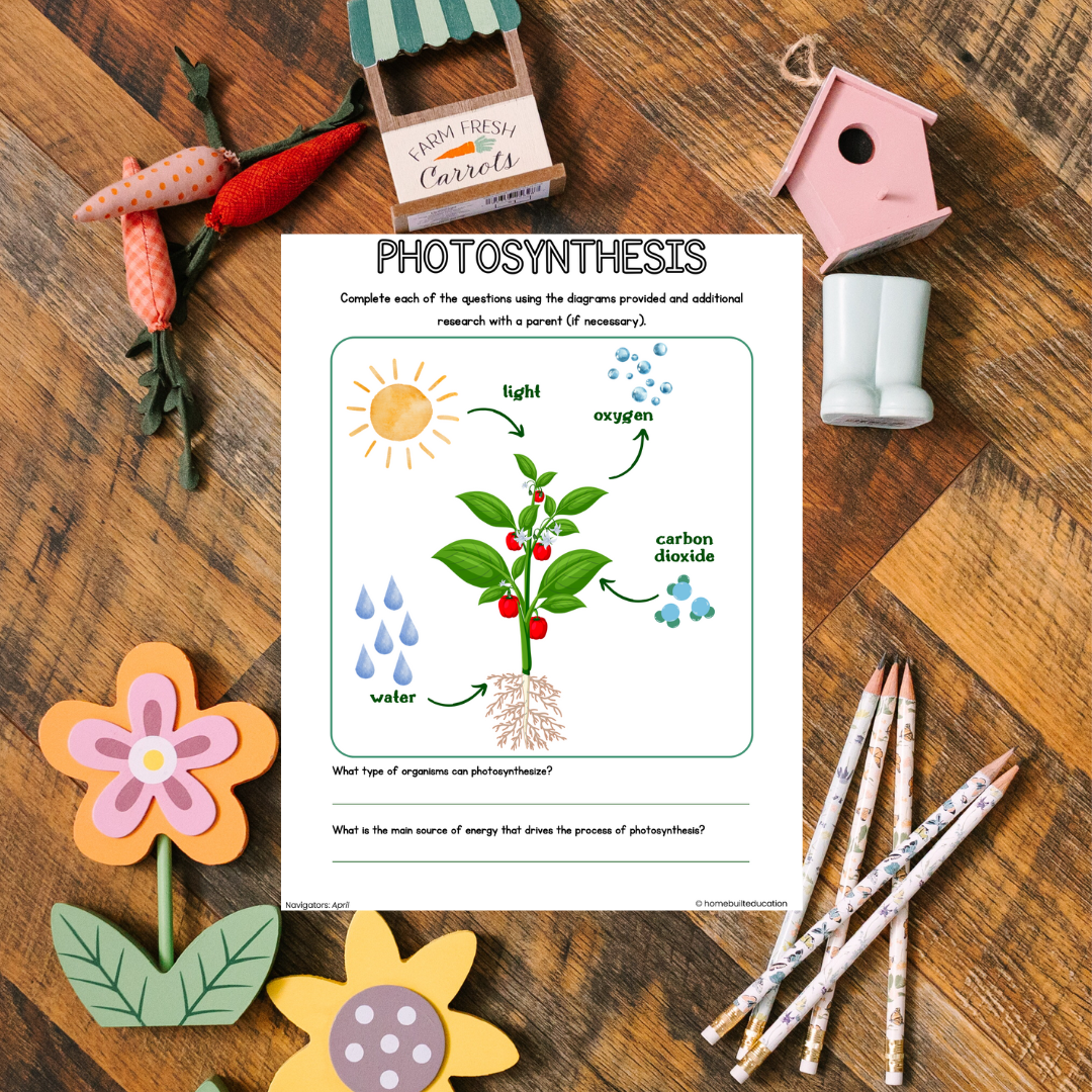 Navigators April Learning Bundle (Ages 9-11)