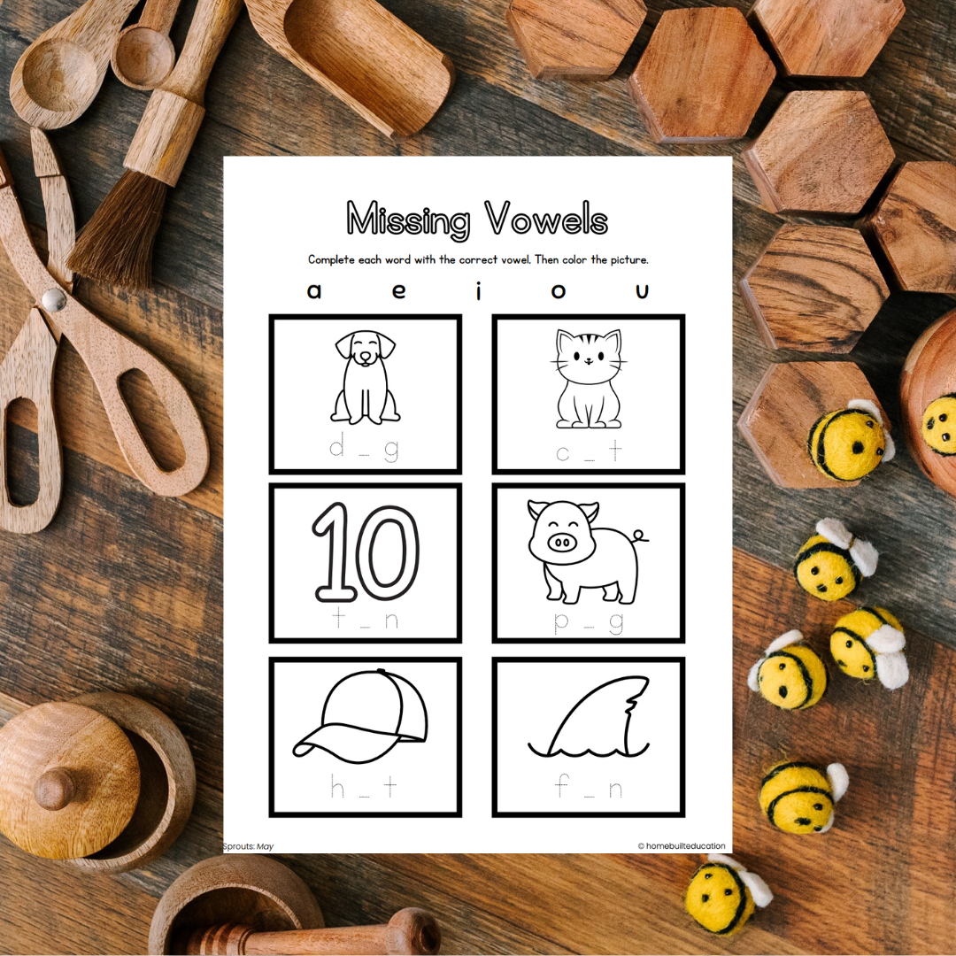 Sprouts May Learning Bundle (Ages 3-5)