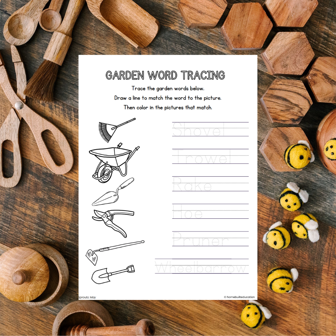 Sprouts May Learning Bundle (Ages 3-5)