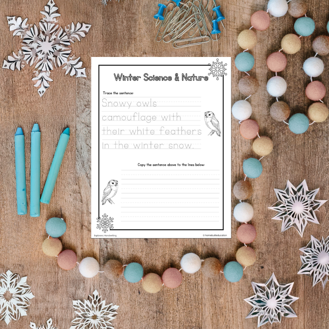 Winter Science and Nature Handwriting Bundle (Ages 6-8)