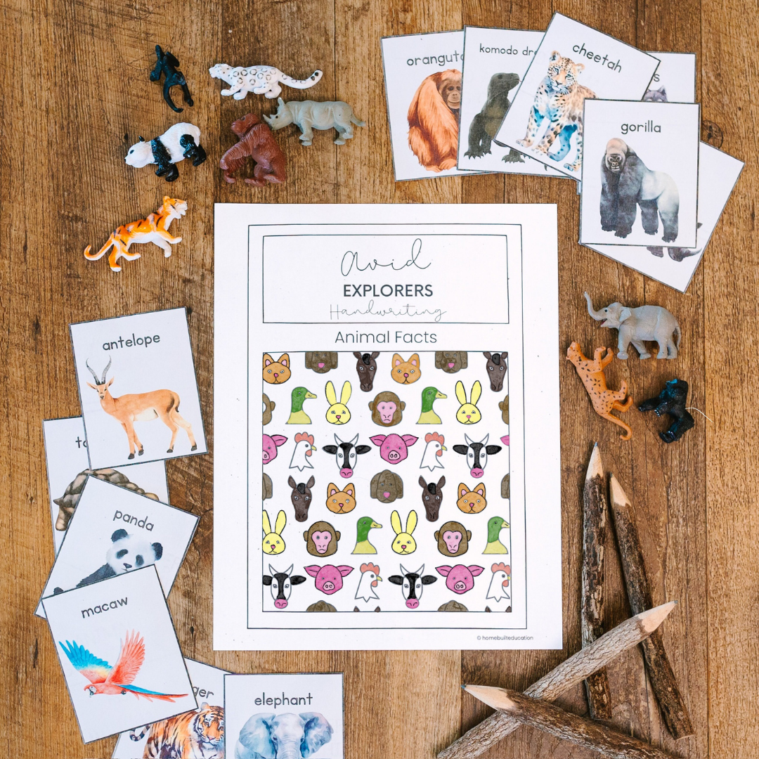 Explorers Handwriting Bundle: Animal Adventures (Ages 6-8)