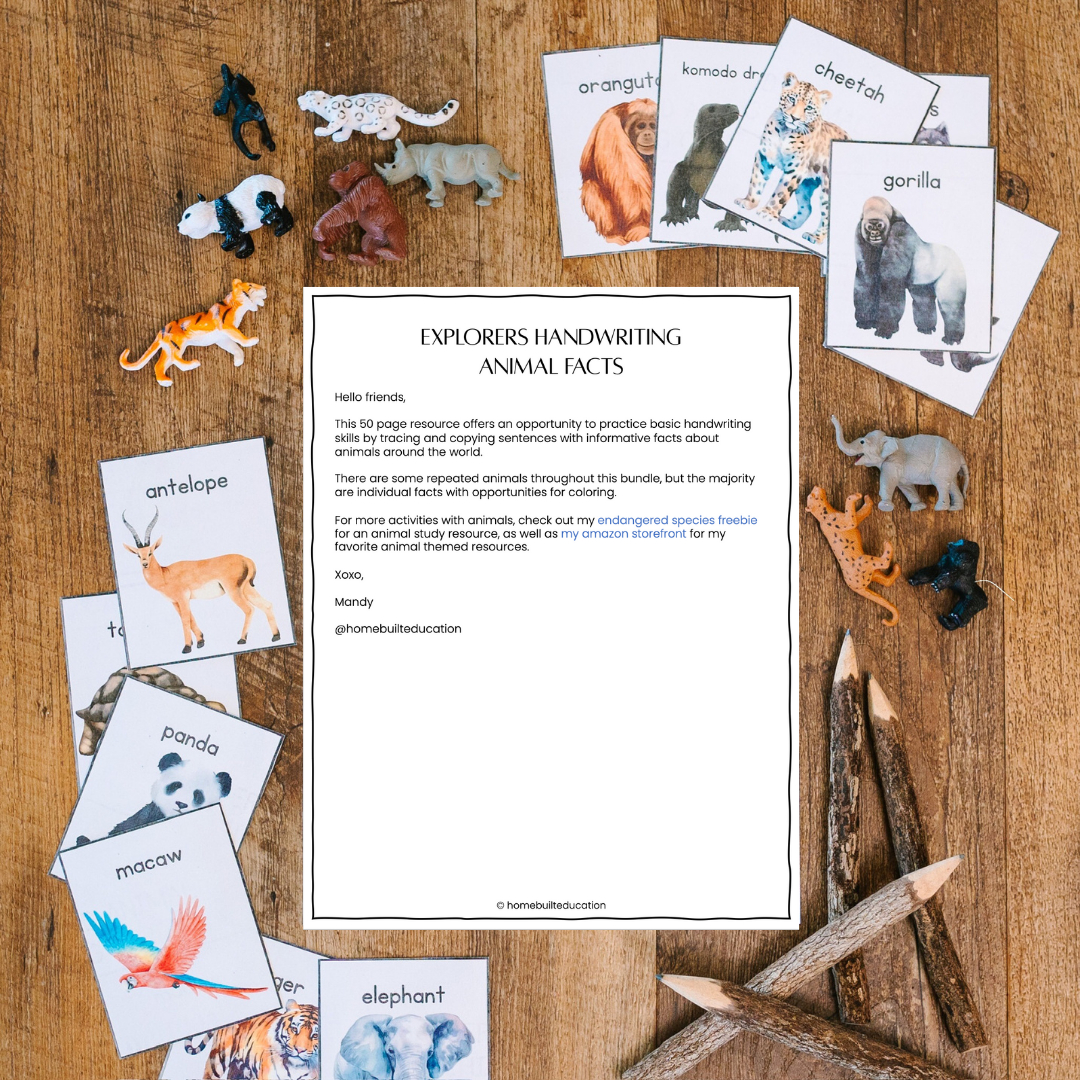 Explorers Handwriting Bundle: Animal Adventures (Ages 6-8)