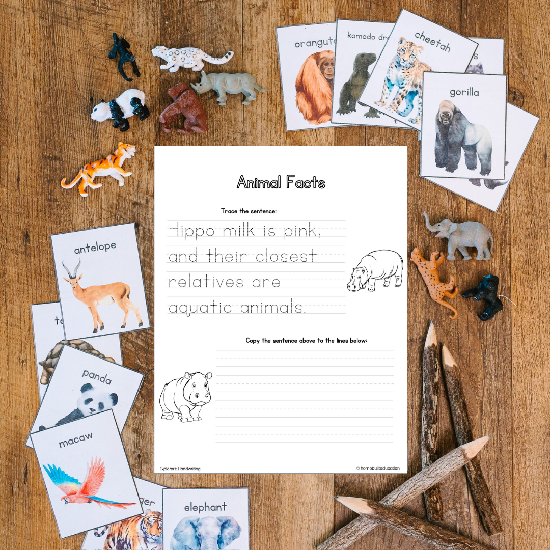 Explorers Handwriting Bundle: Animal Adventures (Ages 6-8)