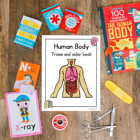 Sprouts Human Body Trace and Color Flashcards Bundle (Ages 3-5)