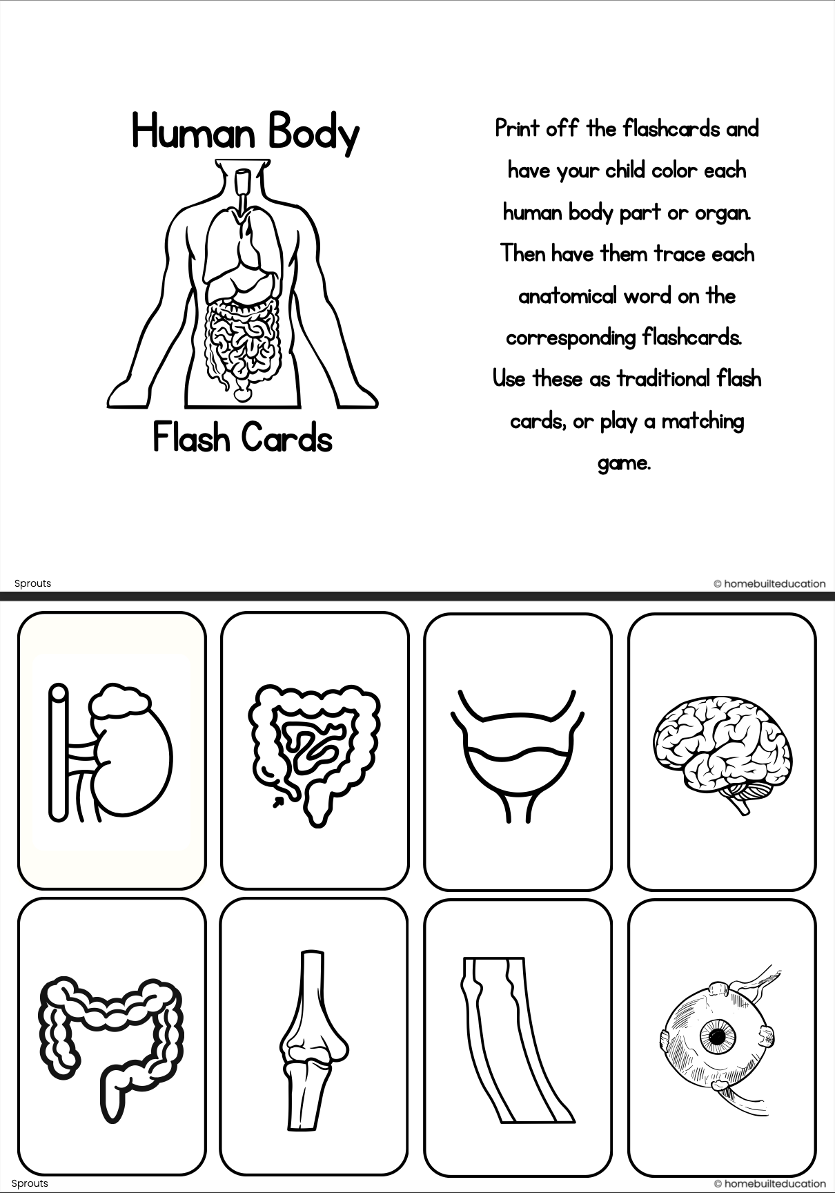 Sprouts Human Body Trace and Color Flashcards Bundle (Ages 3-5)