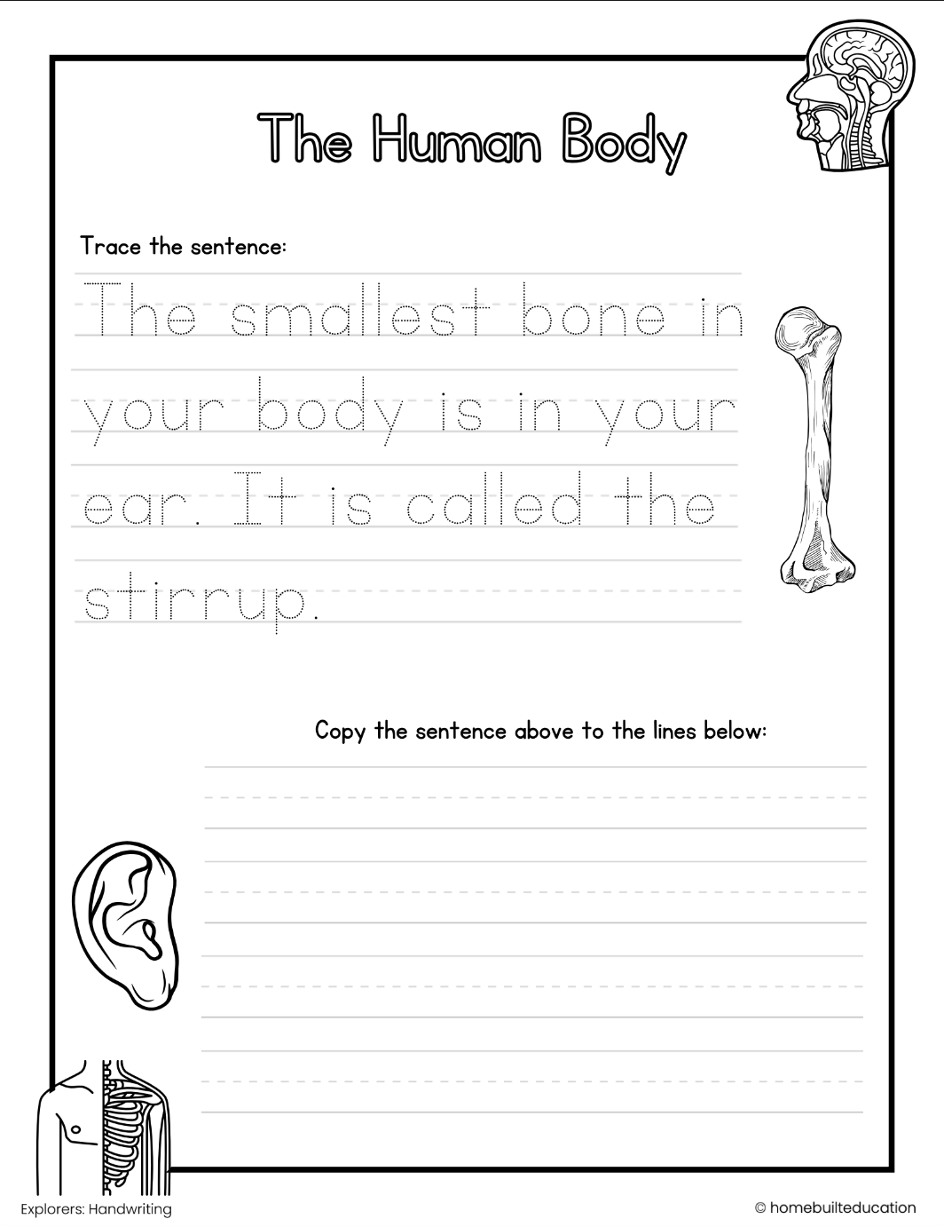 Explorers Handwriting Bundle: Anatomy Adventures (Ages 6-8)