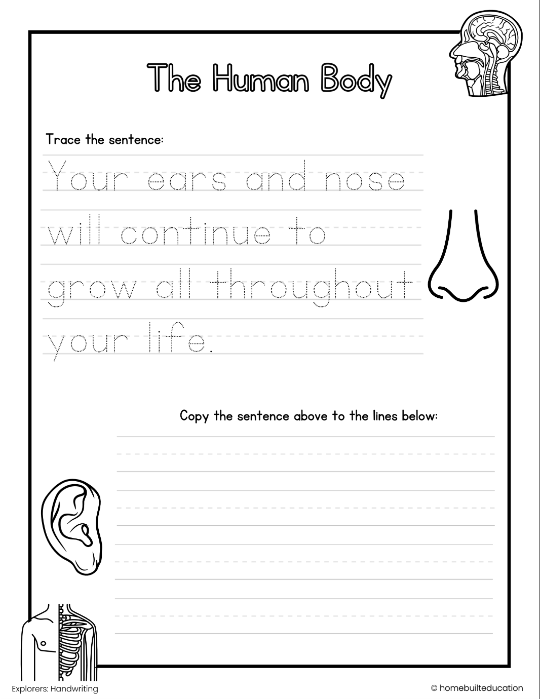 Explorers Handwriting Bundle: Anatomy Adventures (Ages 6-8)